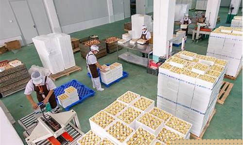 菠菜圈：白菜送彩金(白菜送彩金大全网) (5)